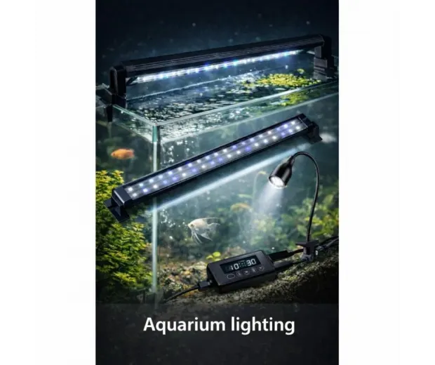 Basic aquarium equipment – ​​lighting