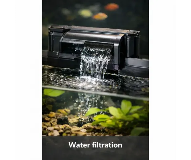 Basic aquarium equipment – ​​filtration
