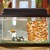 Quarantine of new fish: Why it is necessary and how to do it