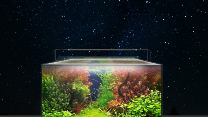 Setting up aquarium lighting Marggoo Setting up aquarium lighting Marggoo