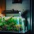 What part of the light spectrum is used for photosynthesis?