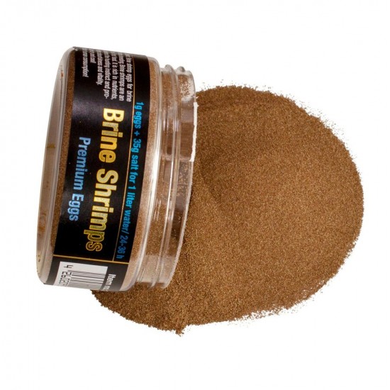 Brine Shrimps Premium Eggs