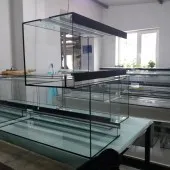 Custom-sized terrariums