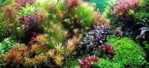 Aquarium equipment