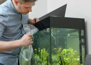 Deadly Aquarium Mistakes & How to Avoid Them