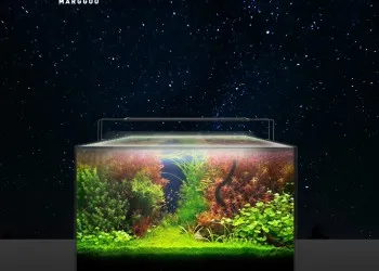 Setting up aquarium lighting Marggoo