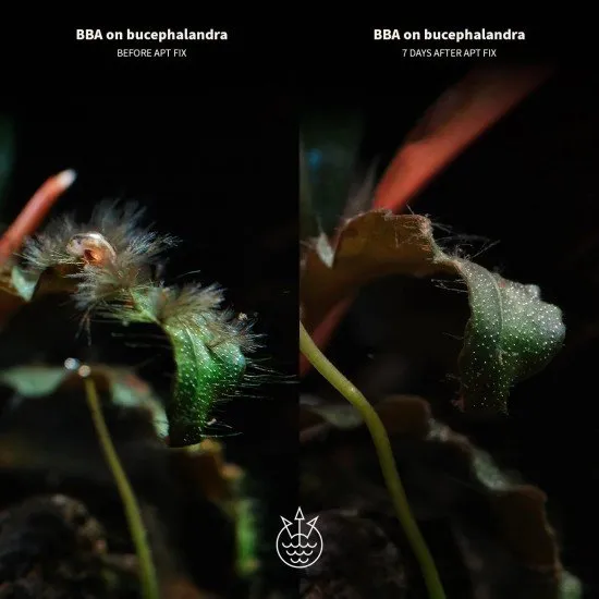 2Hr Aquarist APT FIX е най-доброто решение за елиминиране вредните видове водорасли 