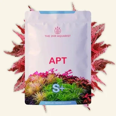 APT Sky PLUS - KH & PH booster