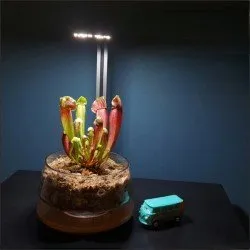 LedStar DOT AQ-M300R – elegant lighting for Nano aquariums