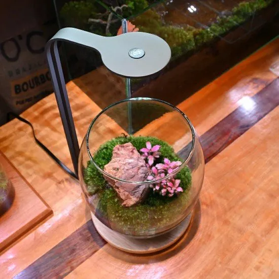 LedStar DOT AQ-M300R – elegant lighting for Nano aquariums