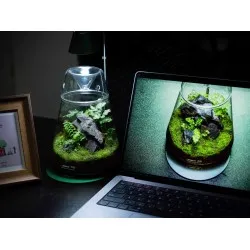 LEDSTAR DOT 2 – Compact and elegant Nano set