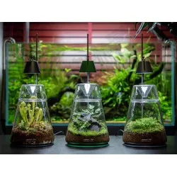 LEDSTAR DOT 2 – Compact and elegant Nano set