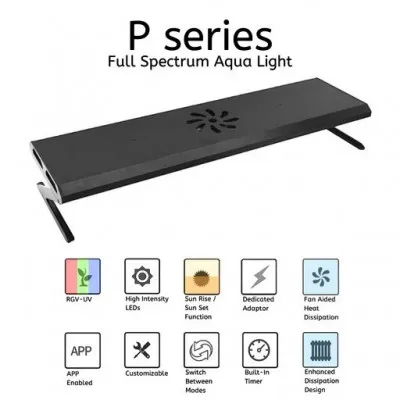 WEEK AQUA P Series - 90cm