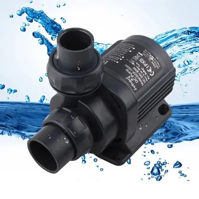 Water Pump -  DCP Jabao 10000