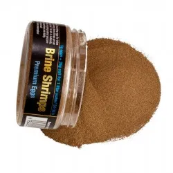 Brine Shrimps Premium Eggs
