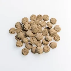 Gold Pleco Tablets Brown - tablets for carnivorous fish