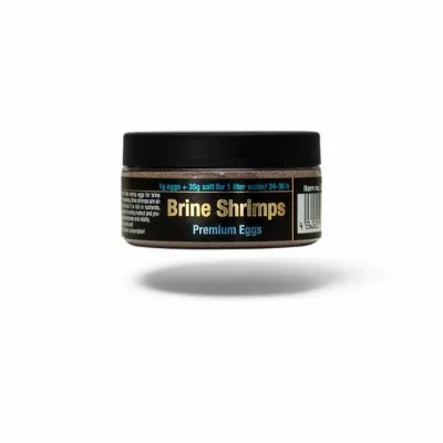 Brine Shrimps Premium Eggs