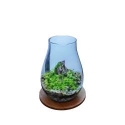 Nano aquarium