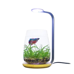 Lighting for Nano Aquariums