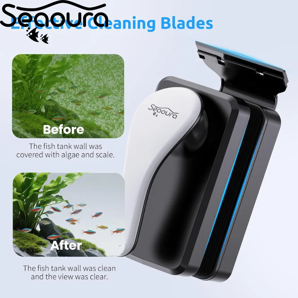 Effective Algae Removal from aquarium glass